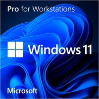 MS SB Windows 11 Pro for Workstations UK