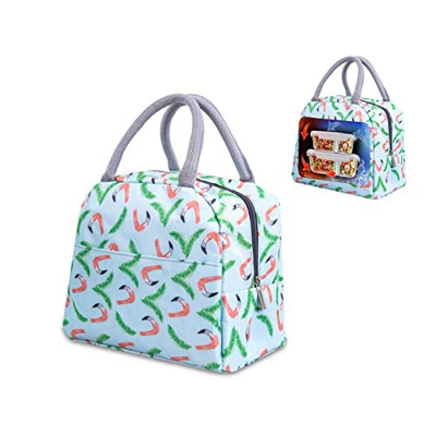 Bolsa térmica plegable, bolsa de picnic, bolsa de compras plegable, bolsa de picnic, bolsa de picnic, bolsa de almuerzo para hombres, bolsa de almuerz