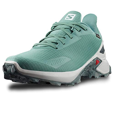 Salomon Alphacross Blast Gore-Tex (impermeable) Hombre Zapatos de trail running, Gris (Trellis/Lunar Rock/Ebony), 46 2/3 EU