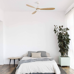 Ventilador de techo Poros, LED, pino, opción WiFi en oferta