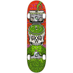 Cruzade Skull Swirl 8.0"x31.85" Complete Skateboard, Adultos Unisex, Multicolor (Multicolor), 8,0" x 31,85" precio