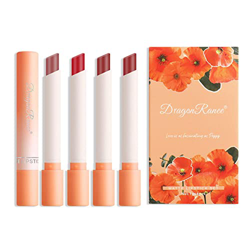 Lápiz labial mate a prueba de agua, juegos de regalo de maquillaje de labios pigmentados para niñas y mujeres, lápiz labial de ladrillo rojo pardo roj precio