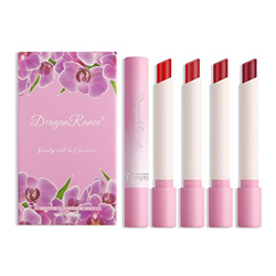 Lápiz labial mate a prueba de agua, juegos de regalo de maquillaje de labios pigmentados para niñas y mujeres, lápiz labial de ladrillo rojo pardo roj en oferta