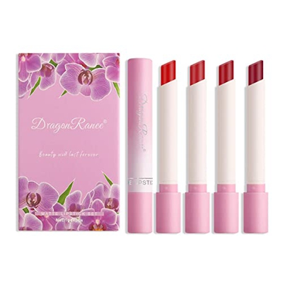 Lápiz labial mate a prueba de agua, juegos de regalo de maquillaje de labios pigmentados para niñas y mujeres, lápiz labial de ladrillo rojo pardo roj