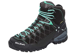 Salewa WS Alp Trainer Mid Gore-TEX Botas de Senderismo, Black Out/Agata, 41 EU precio