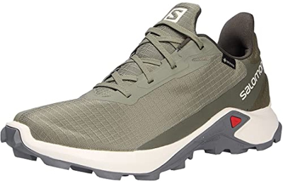 Salomon Alphacross 3 Gore-Tex (impermeable) Hombre Zapatos de trail running, Verde (Deep Lichen Green/Vanilla Ice/Quiet Shade), 42 ⅔ EU