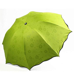 ZGMMM Flores Cúpula Parasol Sol/Lluvia Paraguas Plegable Prain Mujeres Paraguas Transparente Nudillos de Latón para Mujeres   Verde características