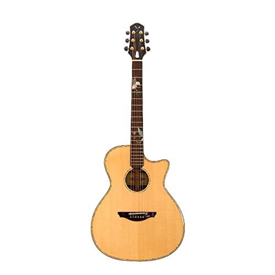 XLAHD Guitarra Guitarra acústica G500C / G510C de 41 Pulgadas, Tapa de Abeto Macizo, Lados y Fondo de Palisandro, Guitarra acústica Profesional (tamañ