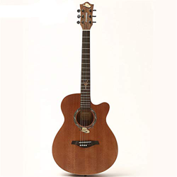 YLiansong-home Guitarra Acustica Guitarra acústica de 40 Pulgadas Esquina Profesional Enseñanza Guitarra Popular para Principiantes (Color : Natural,  características