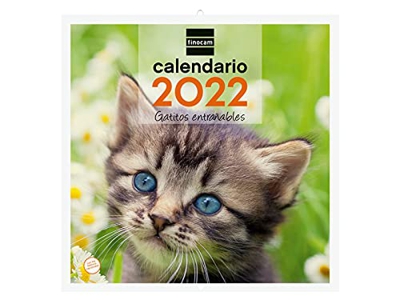 Finocam - Calendario 2022, Pared 30x30 - 300x600 mm, Imágenes de Pared para Escribir Gatitos Español