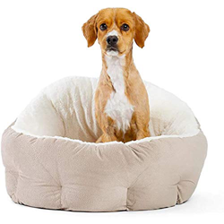 Queta Cama para Perros y Gatos,Mascotas Calentito Cojín Redondo Suave (Caqui) características