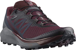 SALOMON Sense Ride 4 W, Zapatillas de Senderismo Mujer, Wine Tasting/Quiet Shade/Ebony, 44 EU precio