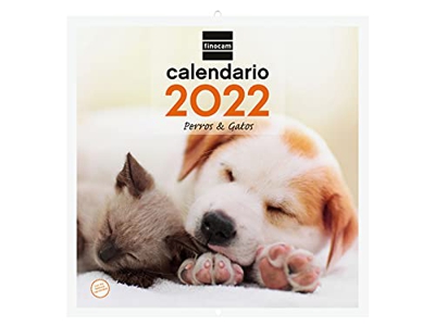 Finocam - Calendario 2022, Pared 30x30 - 300x600 mm, Imágenes de Pared para Escribir Perros y gatos Español