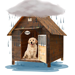 Casa de Perro Grande Exterior, Caseta para Perros Mediana Pequeños, Caseta para Perros Exterior con Puerta, Casa Perro Madera, Casitas para Gatos Exte en oferta