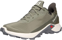 Salomon Alphacross 3 Gore-Tex (impermeable) Hombre Zapatos de trail running, Verde (Deep Lichen Green/Vanilla Ice/Quiet Shade), 41 ⅓ EU en oferta