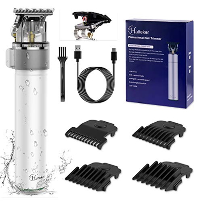 Hatteker Cortapelos Electric Pro Li, recortadora de barba para hombre, con batería, recargable por USB, impermeable, color plateado