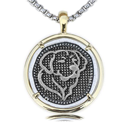 Collar Collar conmemorativo de mascotas europeas y americanas Colgante Golden Retriever Perro mascota Suministro y envío de Amazon Entrega en vivo, ma precio