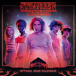 Danilo Calendario Stranger Things 2022 - Calendario 2022 pared, Calendario 12 meses, Calendario anual, Producto con licencia oficial (The Official Str precio