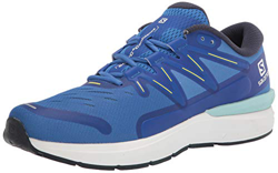 SALOMON Sonic 4 Confidence, Zapatillas de Running Hombre, Palace Blue/White/Evening Primrose, 44 EU características