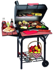 WRANGLER - Barbacoa Carbon/Leña + Funda características