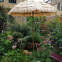 Sombrillas Sunbrella, Jardín de parasol hawaian 2m, paraguas de playa portátil, paraguas de patio barato, con sombrilla de jardín inclinable, paraguas precio