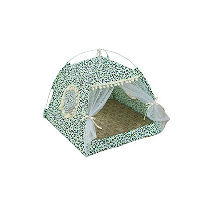 HARZELN Creativo lindo gato nido primavera verano pequeños perros carpa perrera extraíble lavable mascotas nidos, camas para gatos, verde M (38 x 38 x