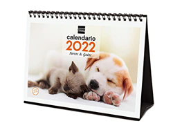 Finocam - Calendario 2022, Sobremesa S - 210x150 mm, Imágenes de Sobremesa para Escribir Perros y gatos Español en oferta