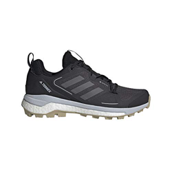 Zapatilla Terrex Skychaser 2 GTX W precio