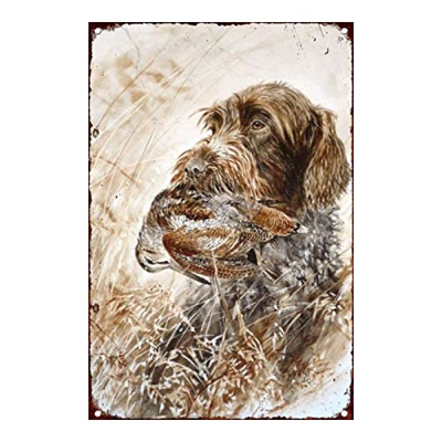 Retro Art Pintura Aluminio,Animales Perro Zorro Pelo Alambre,letreros de Metal Retro,Tienda De Mascotas Decoración Cartel ,Placa Decorativa