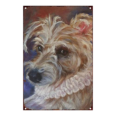 Retro Art Pintura Aluminio,Animales Perro Zorro Pelo Alambre,letreros de Metal Retro,Tienda De Mascotas Decoración Cartel ,Placa Decorativa