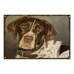 Retro Art Pintura Aluminio,Animales Perro Pointer,letreros de Metal Retro,Tienda De Mascotas Decoración Cartel ,Placa Decorativa precio