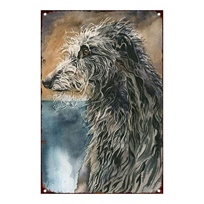 Retro Art Pintura Aluminio,Animales Perro Zorro Pelo Alambre,letreros de Metal Retro,Tienda De Mascotas Decoración Cartel ,Placa Decorativa