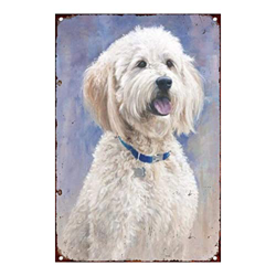 Retro Art Pintura Aluminio,Animales Perro Zorro Pelo Alambre,letreros de Metal Retro,Tienda De Mascotas Decoración Cartel ,Placa Decorativa características