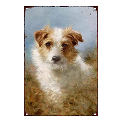 Retro Art Pintura Aluminio,Animales Perro Zorro Pelo Alambre,letreros de Metal Retro,Tienda De Mascotas Decoración Cartel ,Placa Decorativa en oferta
