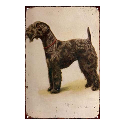 Retro Art Pintura Aluminio,Animales Perro Zorro Pelo Alambre,letreros de Metal Retro,Tienda De Mascotas Decoración Cartel ,Placa Decorativa