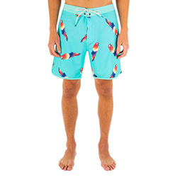 Hurley M Phtm Windansea 18' precio