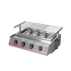 RTYUIO Parrilla de Barbacoa a Gas, 4 quemadores, portátil, Ambiental, al Aire Libre, para Picnic, Parrilla de Barbacoa Ajustable, Acero Inoxidable, má características