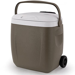 YYGG Nevera Portátil con Ruedas, Caja Térmica de 26 l de Capacidad, Nevera para Camping, Playa y Picnic en oferta