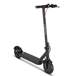 Patinete Electrico para Adulto,Conduce hasta 25km,hasta 25km/h,36V 7.5Ah Batería Electric Scooter,Plegable Aleación de Aluminio Scooters Eléctrico con características