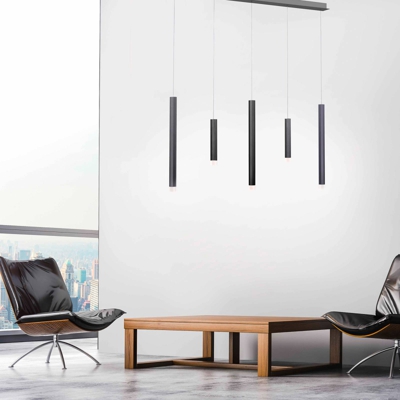 Paul Neuhaus Pure-Gemin lámpara colgante LED negro