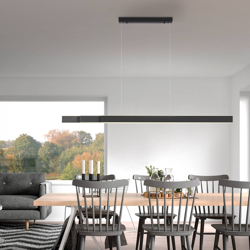 Paul Neuhaus Pure-Lume colgante LED, antracita características