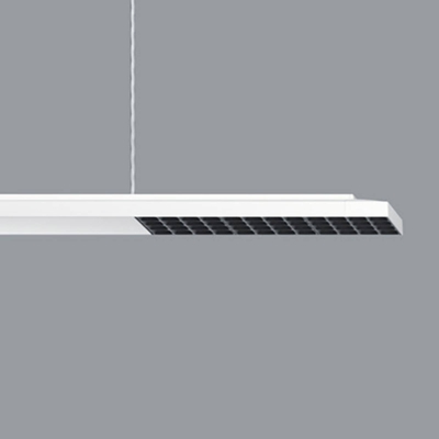 ERCO Jilly P DALI oval wide blanco/black 830