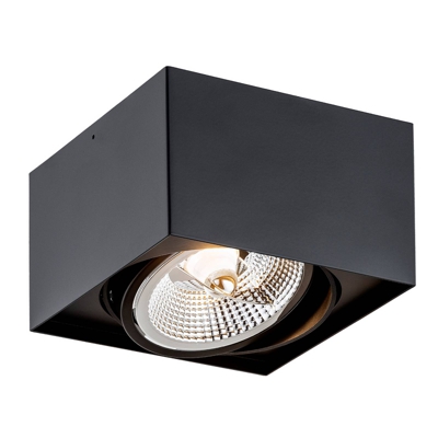 Foco de techo Ronda, 1 luz, negro
