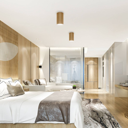 Plafón Tube TB 170, oro características