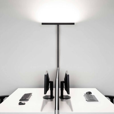 Molto Luce Concept Double F sensor negro
