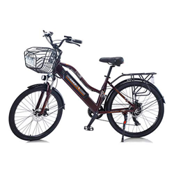 Hyuhome Bicicleta eléctrica para Mujer Adulto, 26" 36V 10A E-Bike, batería de Iones de Litio extraíble, Bicicleta de montaña, Bicicleta eléctrica para en oferta
