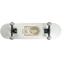 Skateboard en oferta