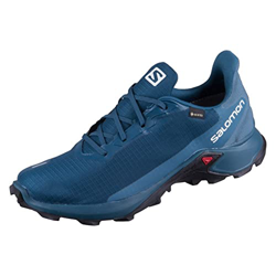 Salomon Alphacross 3 Gore-Tex Zapatos de Trail Running, Hombre, Azul (Legion Blue/Mallard Blue/Night Sky), 40 EU en oferta