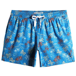 MaaMgic Bañador Hombre de Natación Secado Rápido Interior de Malla 4-Way Stretch Vintage 80s 90s,Cocotero y Azul,XL características