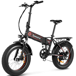 Speedrid Bicicletas Eléctricas, Bicicleta Eléctrica Plegable con 20''* 4.0'' Neumáticos Gordos, 48V 250W Motor, LCD y 48V 10Ah Batería Extraíble (20'' precio